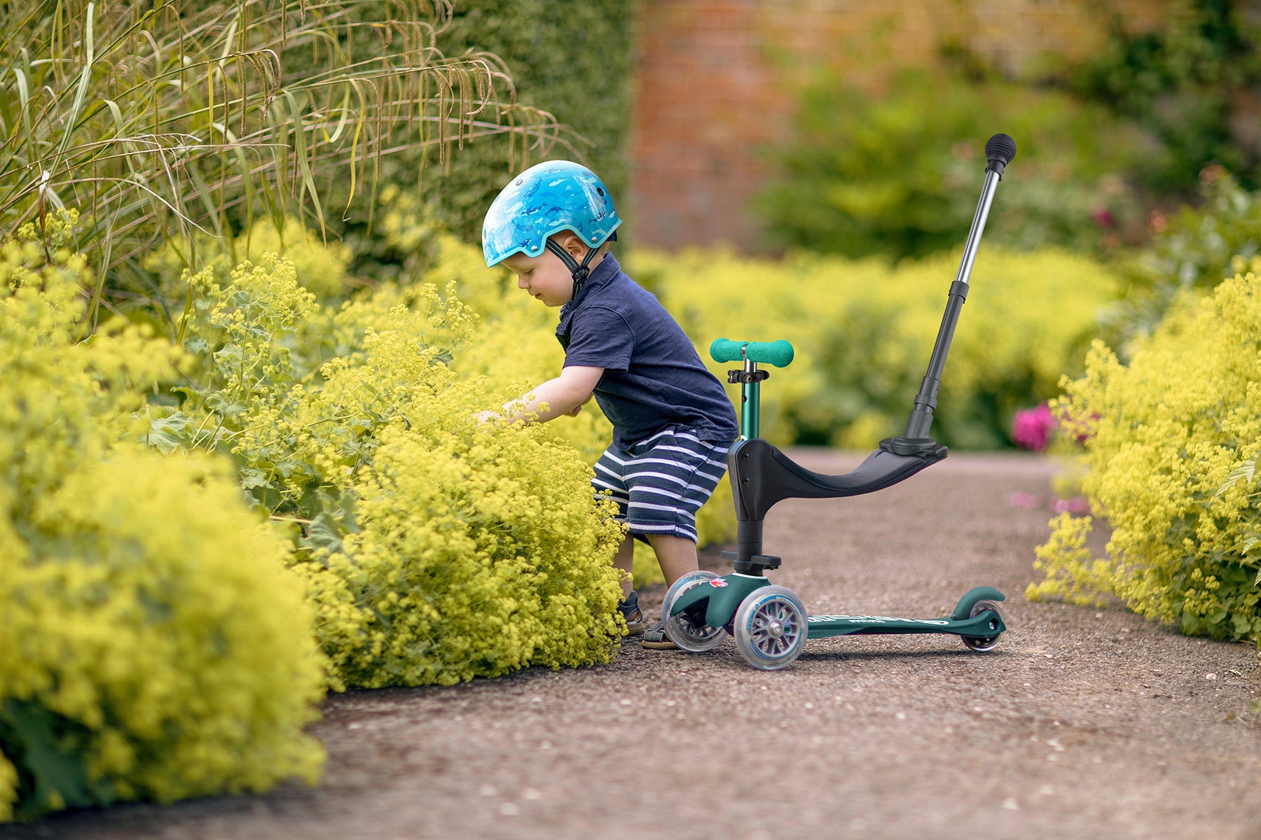 Micro Scooters