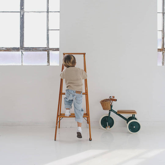 Banwood Trike - Green - All Mamas Children